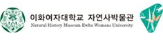 이화여대자연사박물관